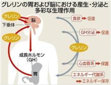 ニュースプラスＡ‐Ｗｏｒｄ-次代のノーベル賞候補