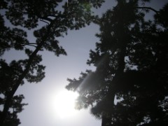 PICT0128.JPG