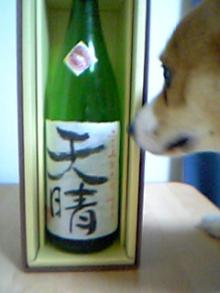 sake