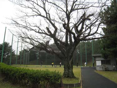 AtsugiKokusaiCC04