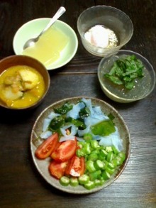 ある日の晩御飯