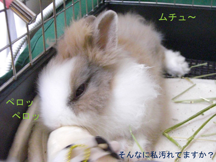 PUNKUNのきもち