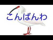 konbanwa