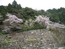 画像 041.jpg