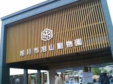 CA311084.JPG