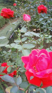 200810251155001.jpg