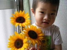 himawari