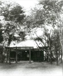 jinjya