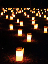 257