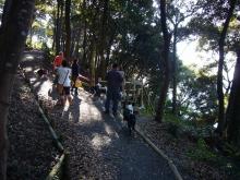 舘山寺遊歩道