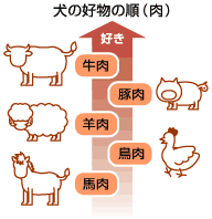 嗜好の順番
