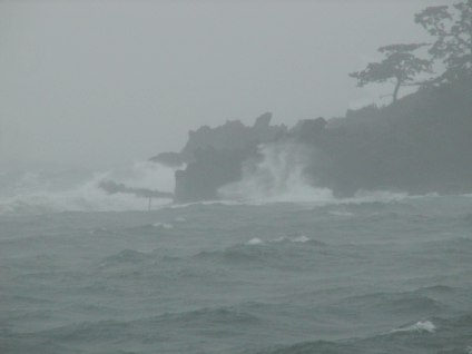 台風０5