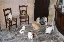 ikatz! @ Spain