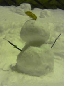 051229_2223~01.jpg