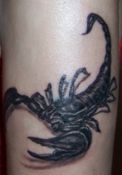 a tattoo. I chose a scorpio because, since it is my zodiac,