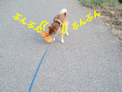 ぶんぶん