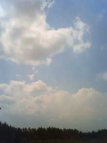 200805171055000.jpg