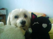 Onur