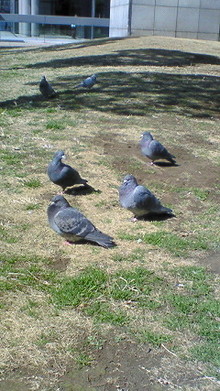 NEC_0242.jpg