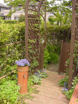 garden1