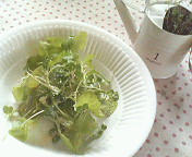 130625052008.jpg
