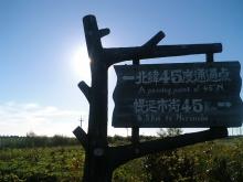 CA311134.JPG