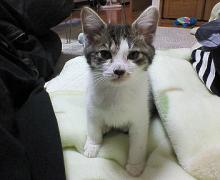 婿入りして2ヶ月たちました