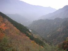 紅葉狩り2