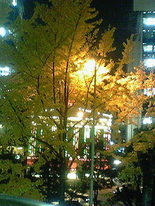NEC_0001.jpg