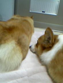 20060709