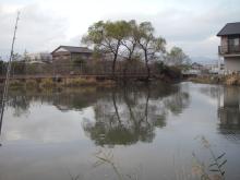 野池２