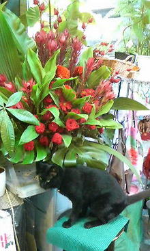 200809061011000.jpg