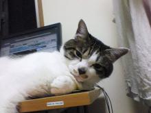 むすうううう