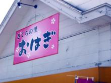 sakuraohagi1
