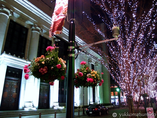 農林中央金庫有楽町ビル クリスマス・イルミネーション・スポット ...