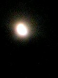 070828_2052~0001.jpg