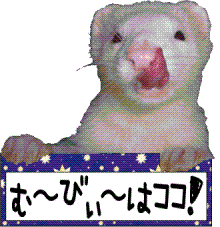 ムービー用バナー