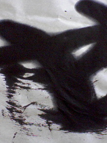 070909_1602~02.jpg
