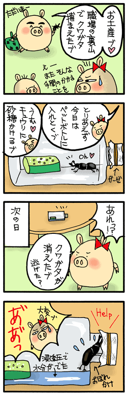 大洪水?(070706)