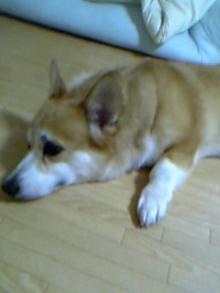 20050723_1
