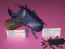 立体昆虫