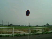 20080716144156.jpg