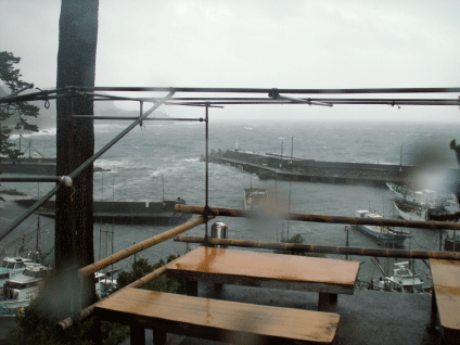 台風０１