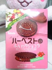 ハーベストふんわりショコラ箱