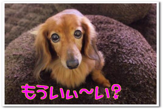 ＩＬＯＶＥミリィ～ミリィ～ちゃん～ｎｅｗ～