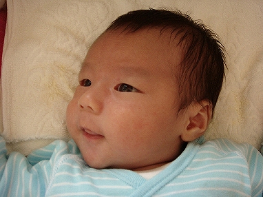 睦