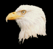 ka_eagleface00