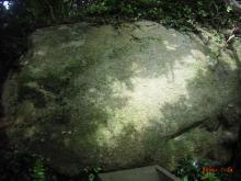 RIMG0364001.JPG