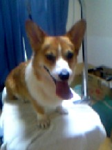 20050710_0