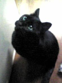 そこに・・